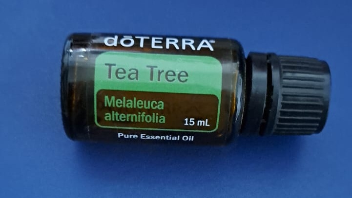 Tea Tree Essential Oil